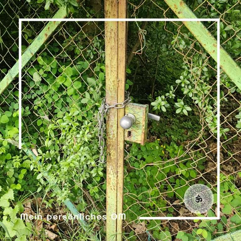 ein altes Drahtgartentor mit einem großen Loch und von einer Kette verschlossen