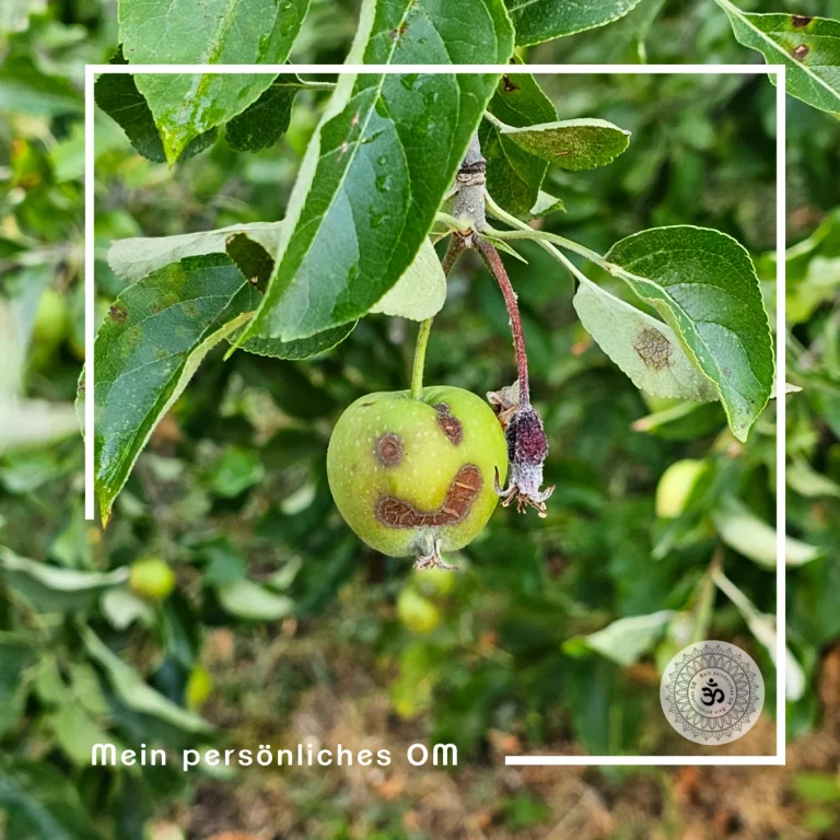 ein Lachen auf einem Apfel