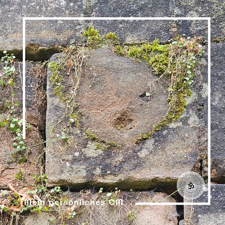 An einer alten Steinmauer bilden Moos, Gras und Verwitterung ein Gesicht